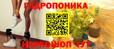 гашик Нальчик