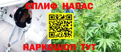 гашик Нальчик