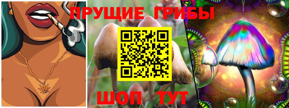Галлюциногенные грибы прущие грибы Шелехов