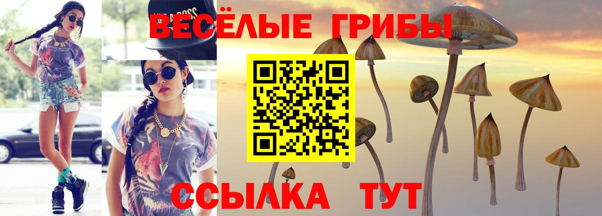 Псилоцибиновые грибы MAGIC MUSHROOMS  Вход с VPN  Псилоцибиновые грибы MAGIC MUSHROOMS  Шелехов 